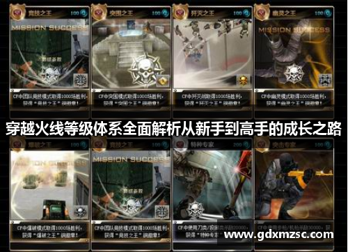 穿越火线等级体系全面解析从新手到高手的成长之路