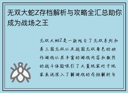无双大蛇Z存档解析与攻略全汇总助你成为战场之王