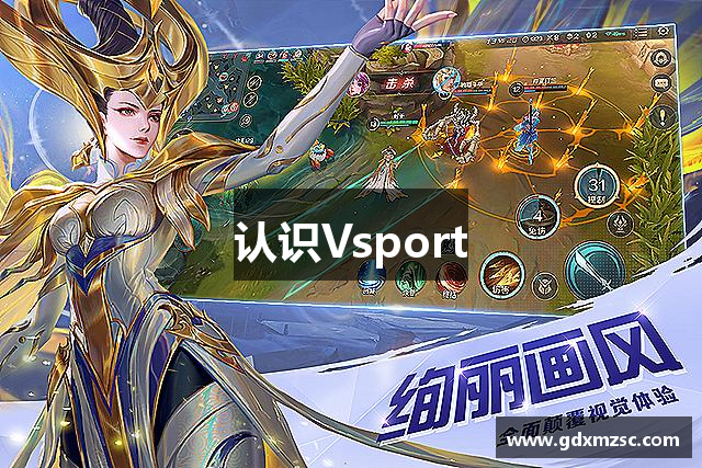认识Vsport