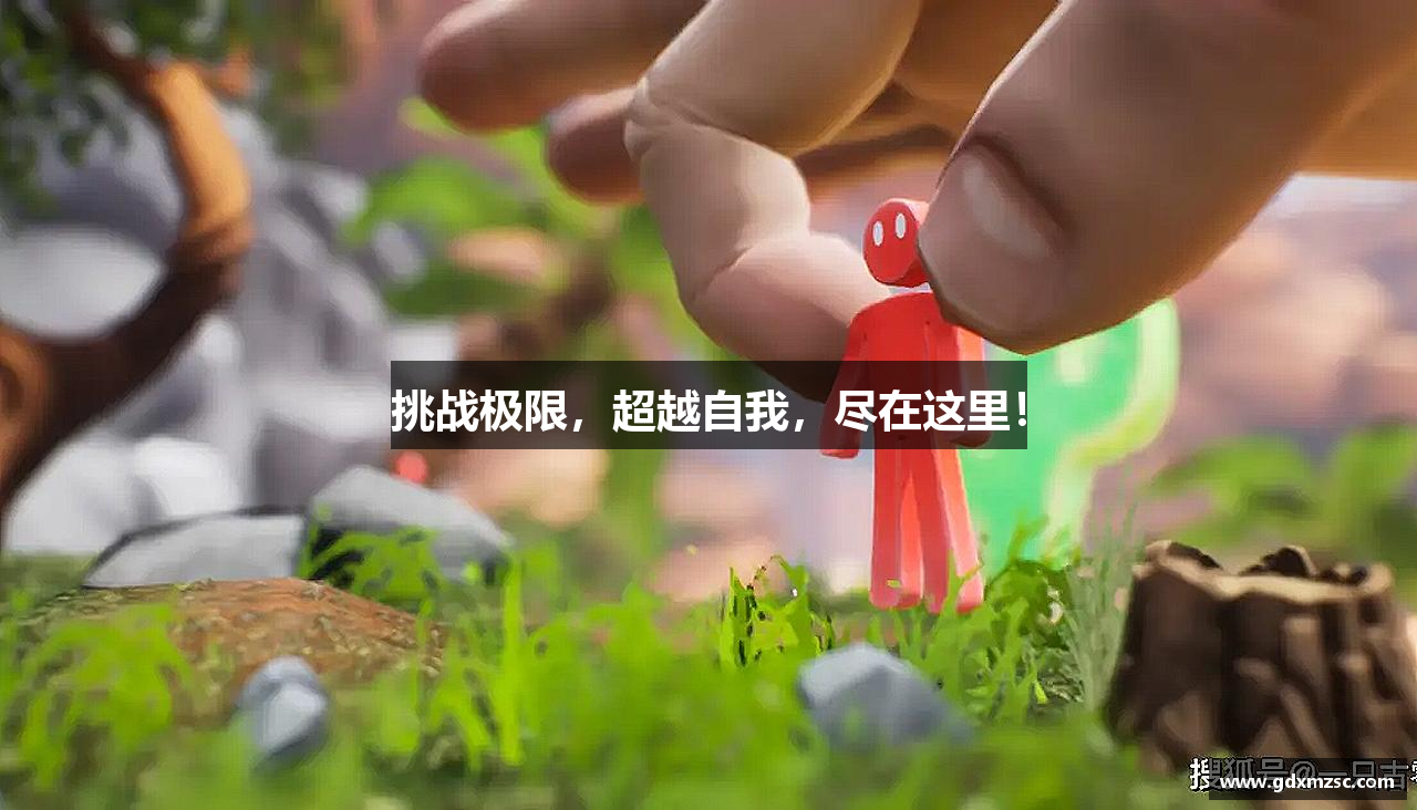 挑战极限，超越自我，尽在这里！